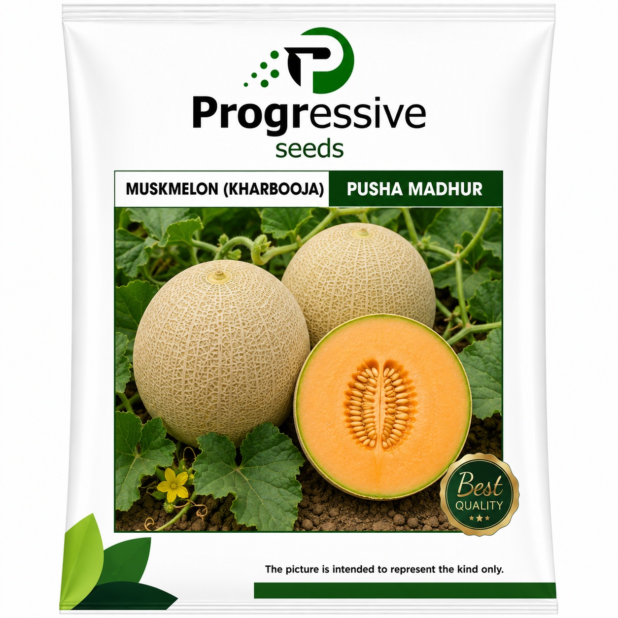 Muskmelon (Kharbuja)
