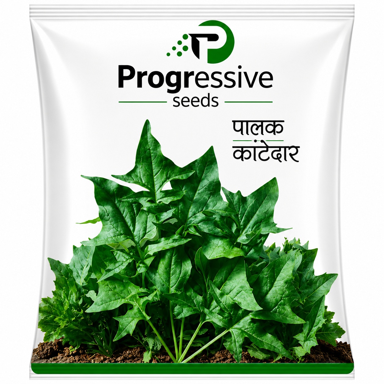 Palak Kantedaar