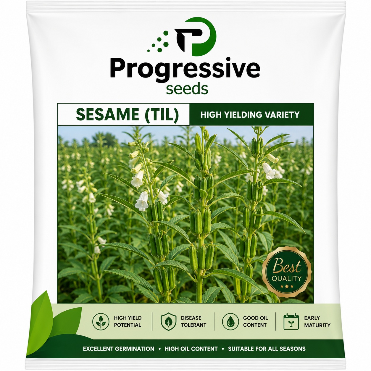 Sesame (Til)