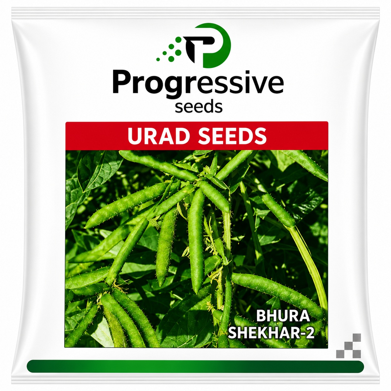Black Gram (Urad)