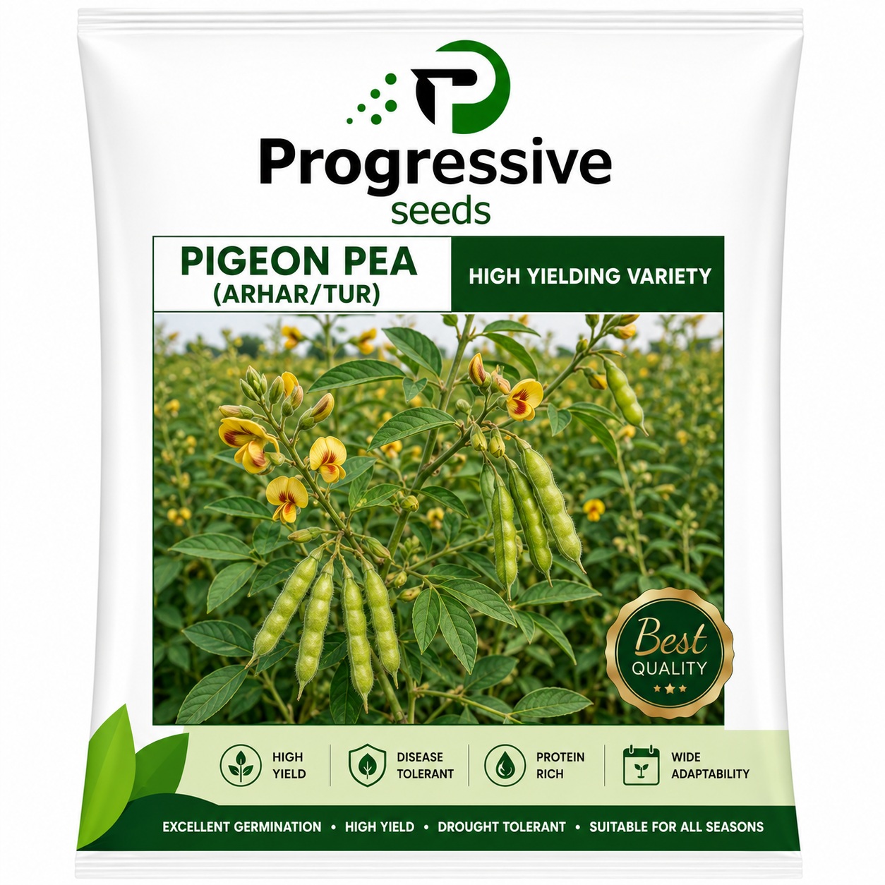 Pigeon Pea (Arhar / Tur)