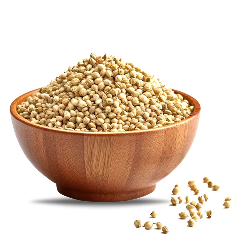 Coriander Seeds
