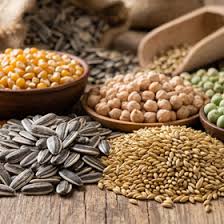 Specialty Crop Seeds